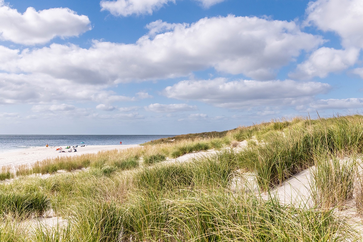 A view of beach dunes with a blue sky with puffy clouds 