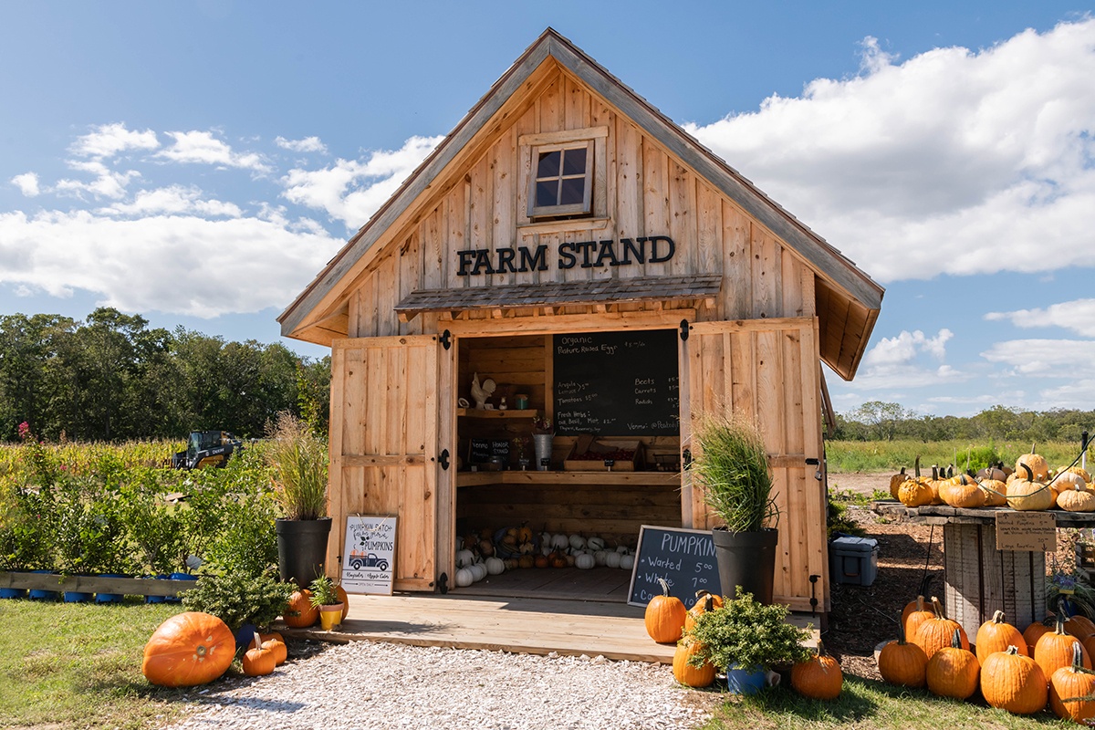 A farm stand barn with pumpkins with blue sky