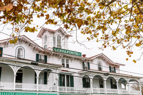 Changing Leaves at the Chalfonte