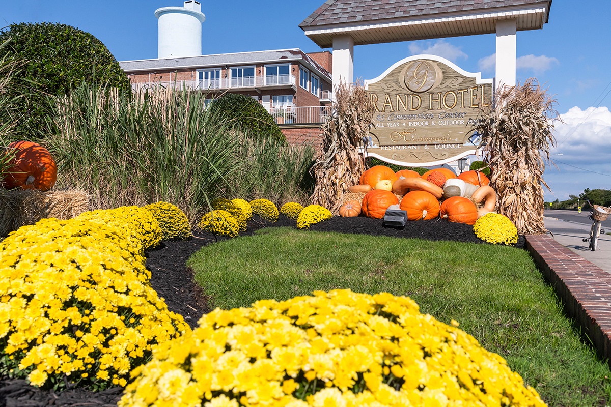 A row of yellow mums leading to a pile of pumpkins at the Grand Hotel