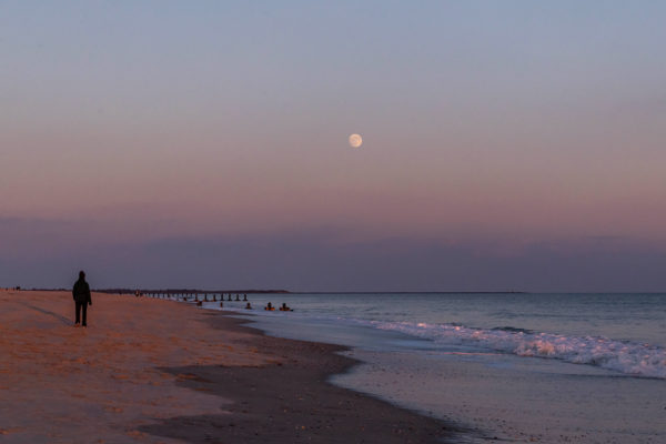 Walking with the Moon