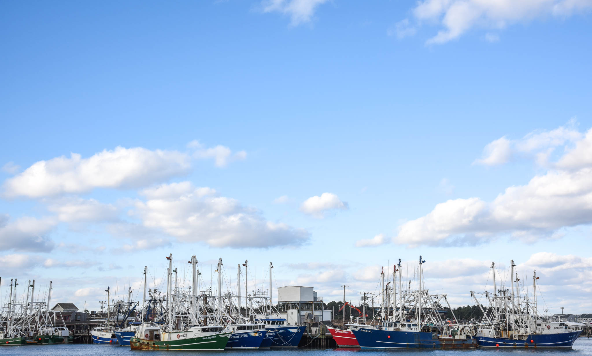 Cape May Harbor