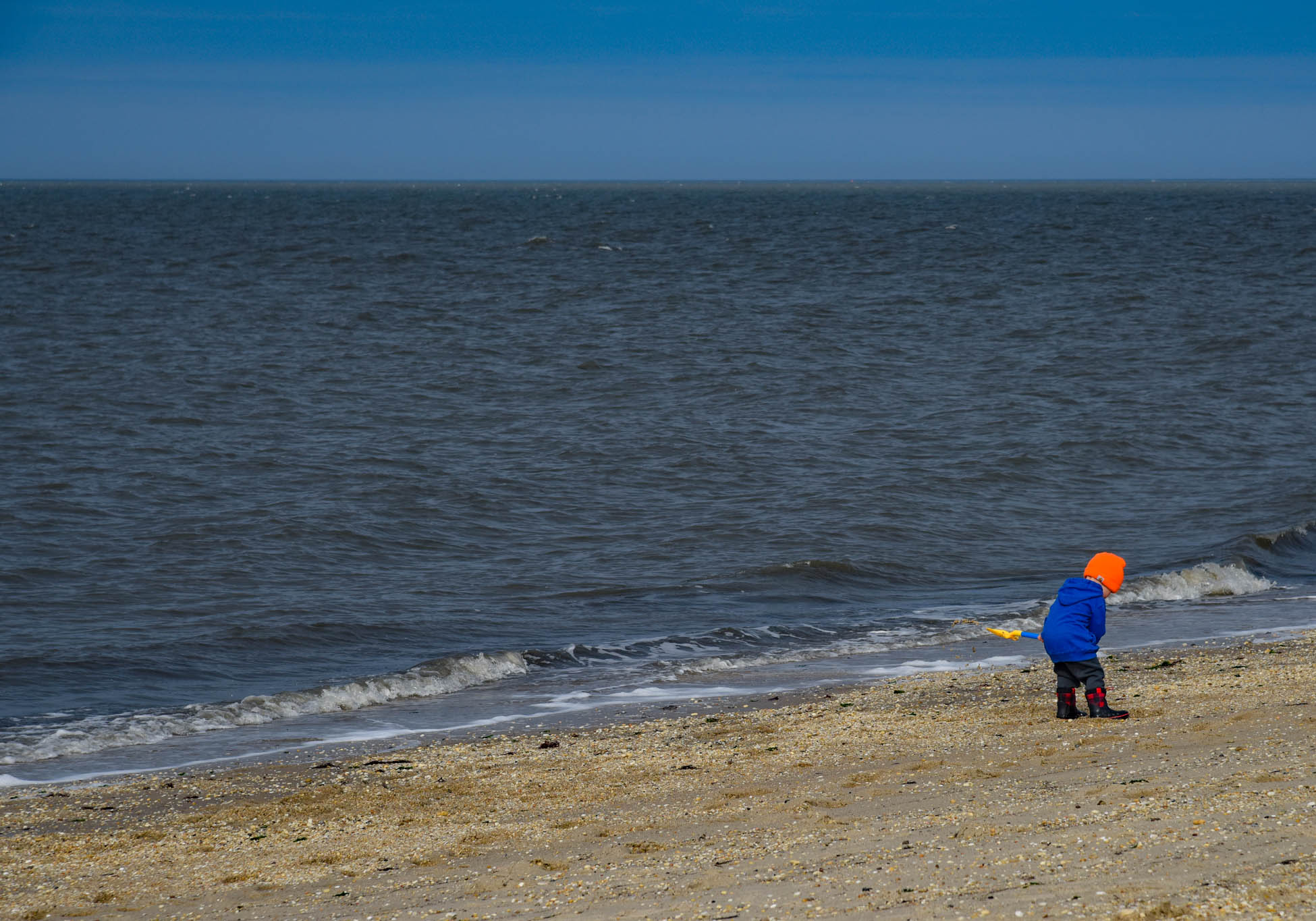 young kid digging on the beach.