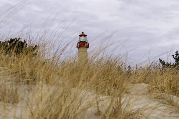 The Lighthouse in the New Year