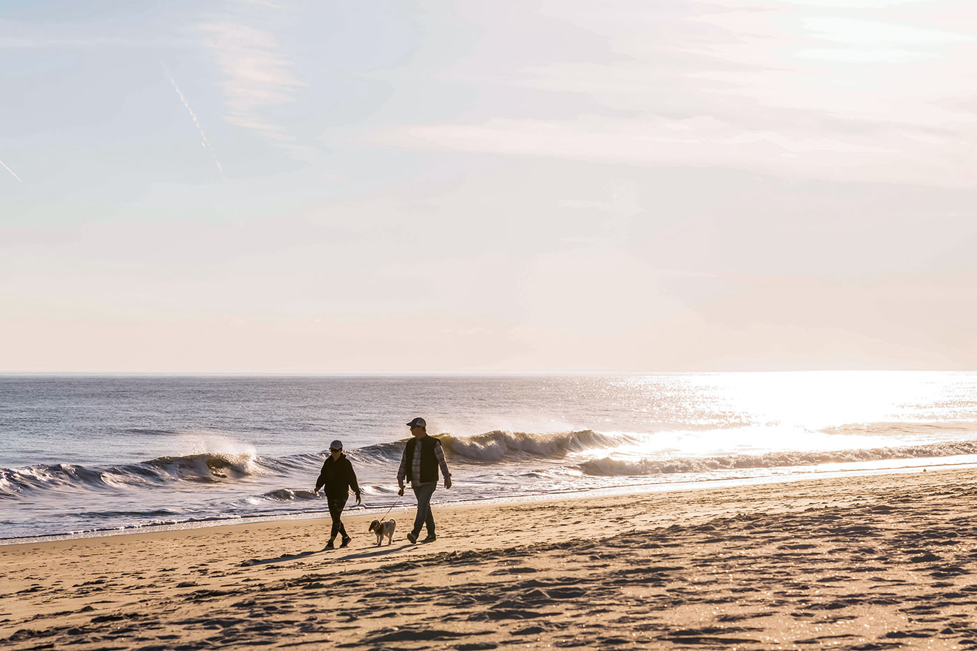 Two people walking with a leashed dog on the beach with waves crashing on a sunny day