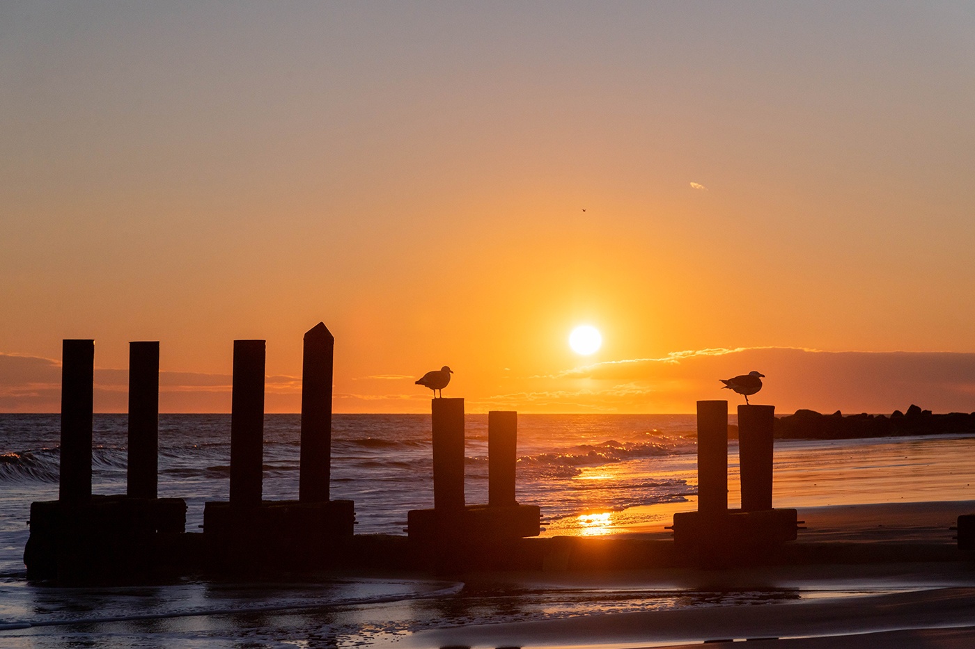 Two seagulls perched as the suns sets at the beach