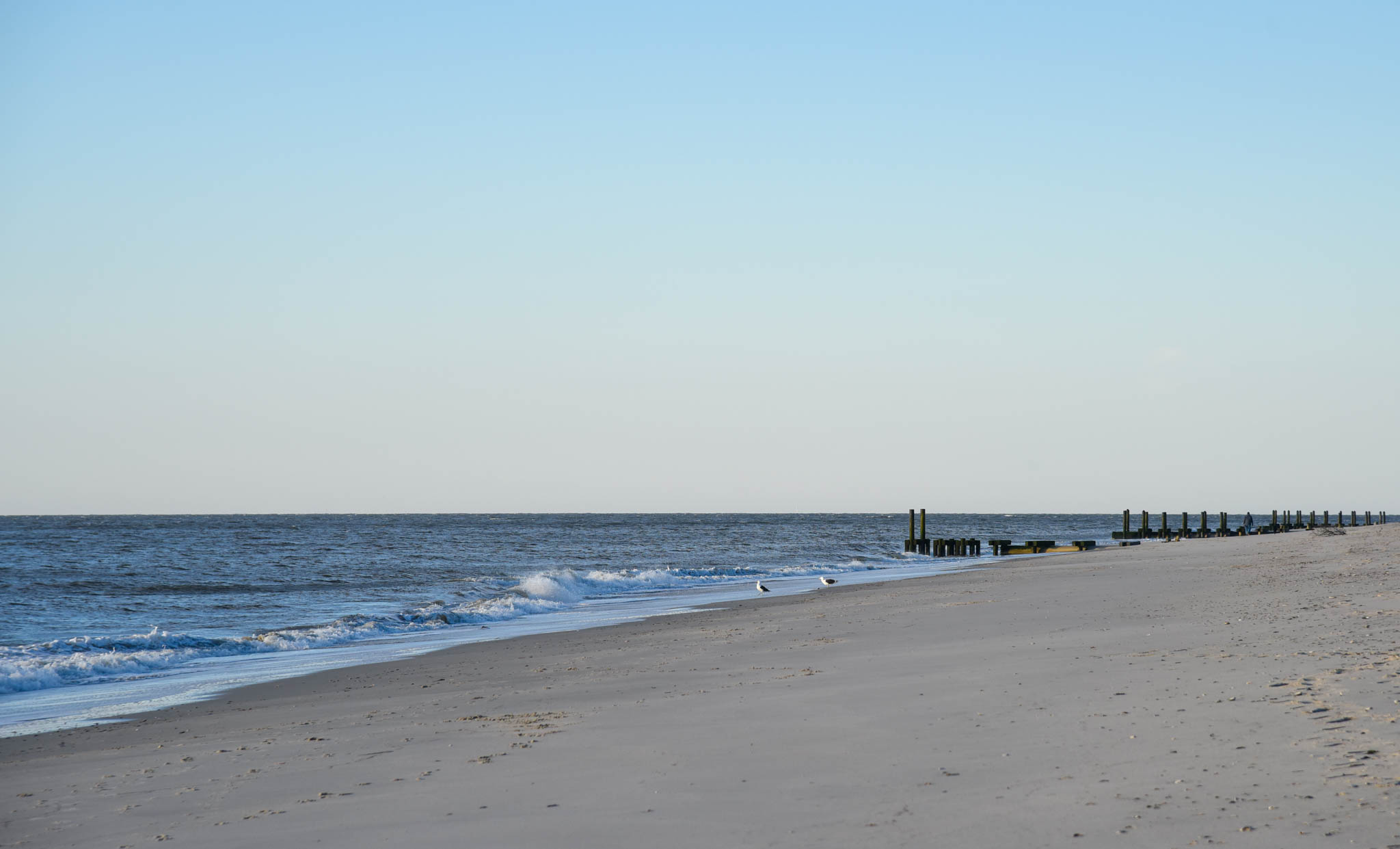 view of the beach and ocean with two seagulls.