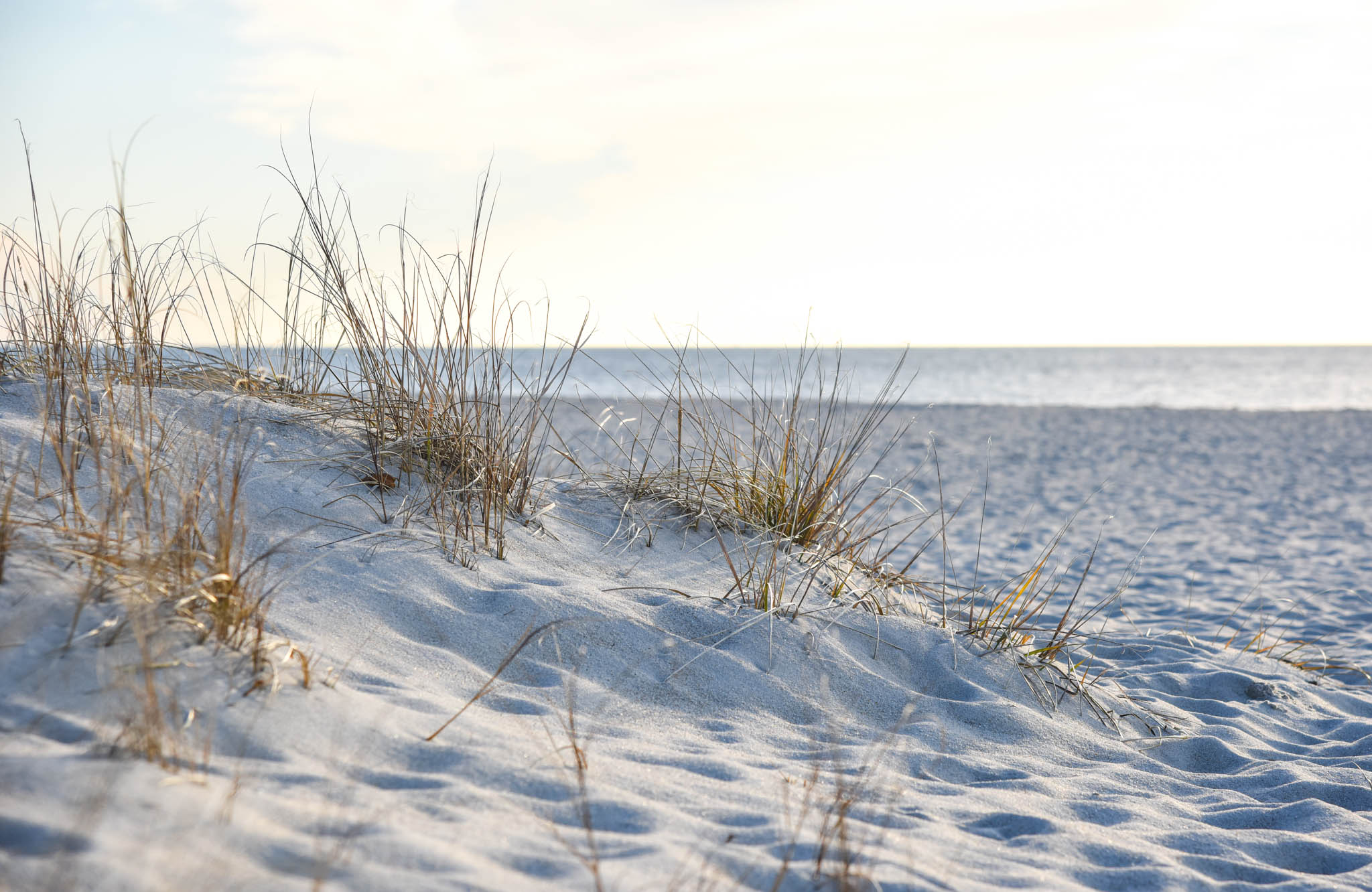 Looking at the sand dunes 