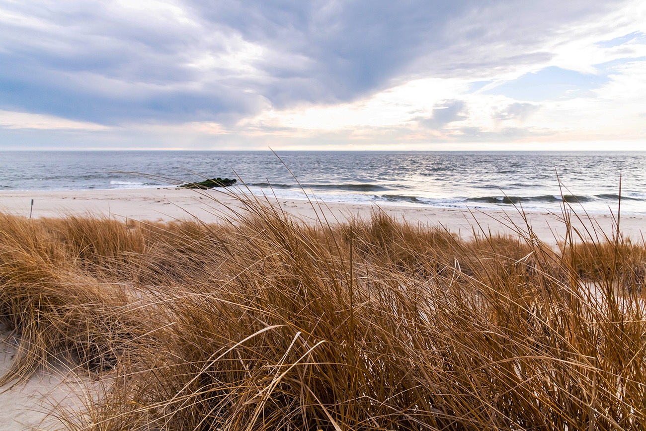 Looking through beach dunes to the ocean and a cloudy sky