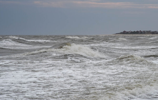 At the Cove looking at the waves