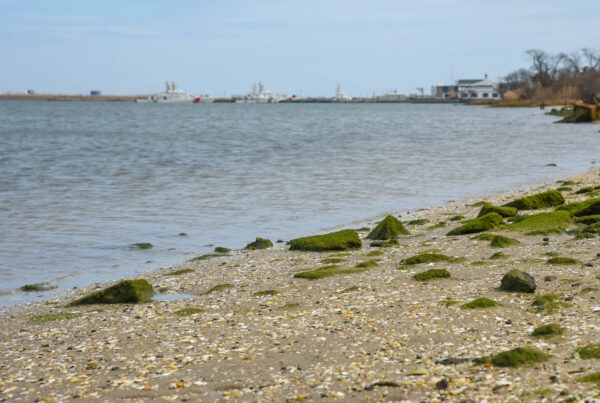 Walking at the edge of the Cape May Harbor.