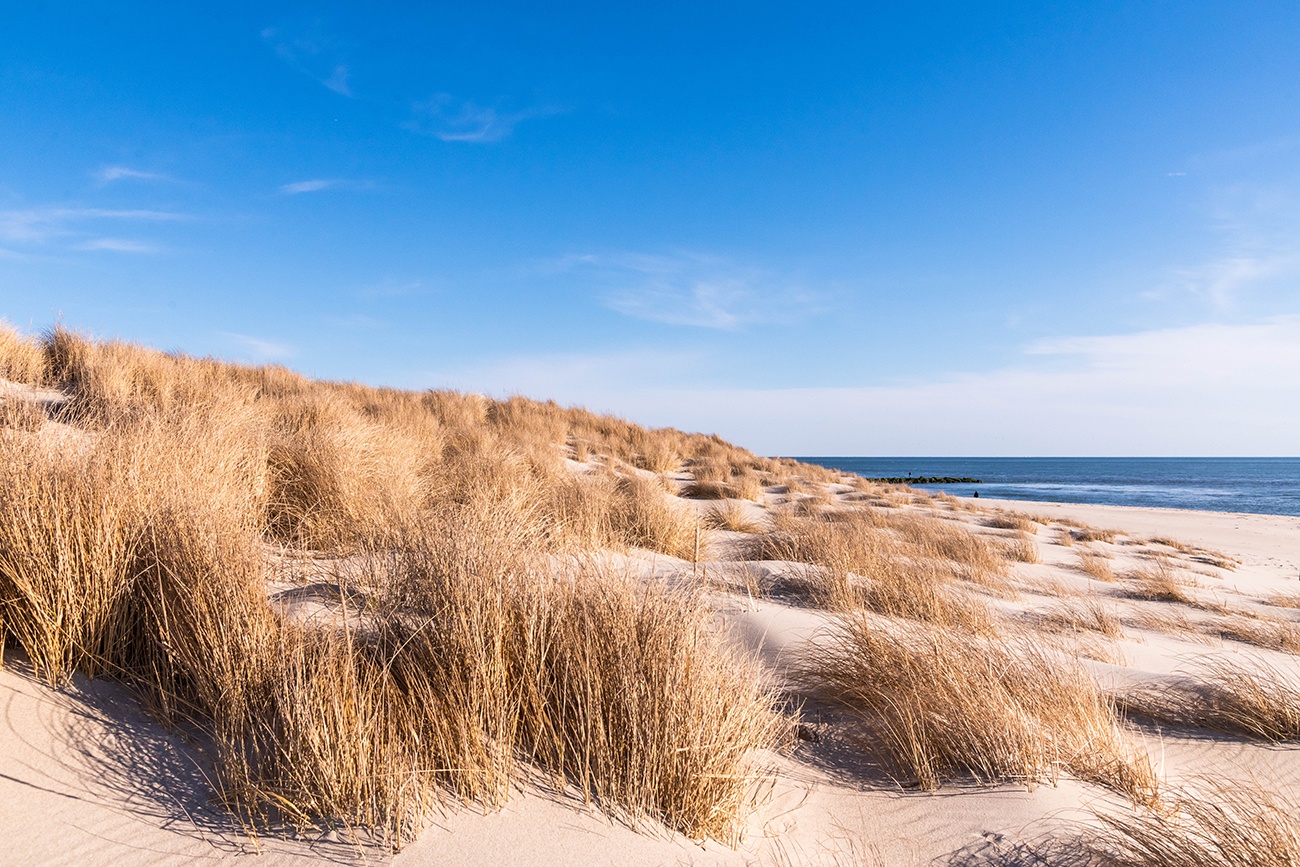 Bright blue sky with beach dunes 
