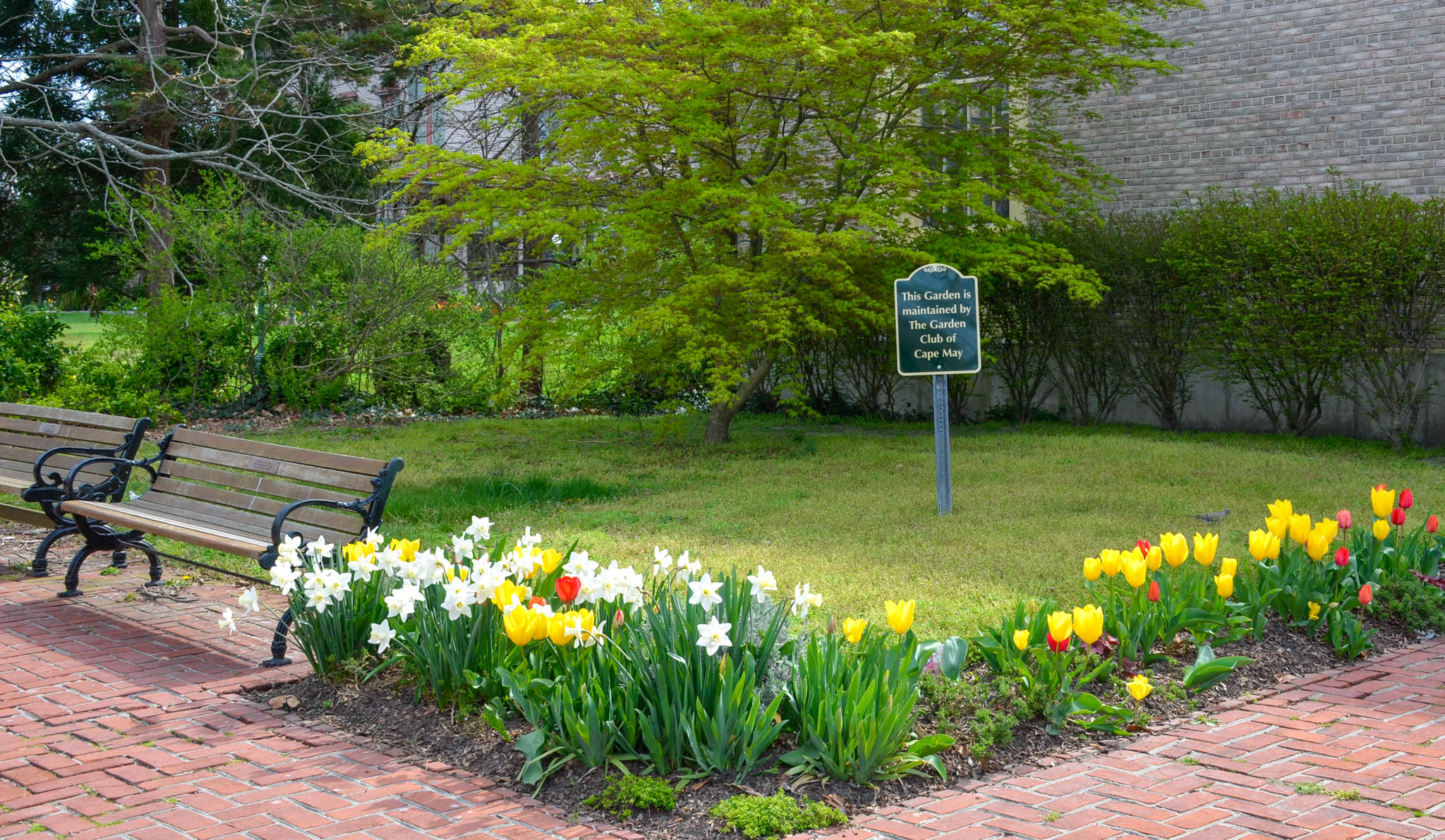 Cape May Garden Club did the flowers for the local Post Office