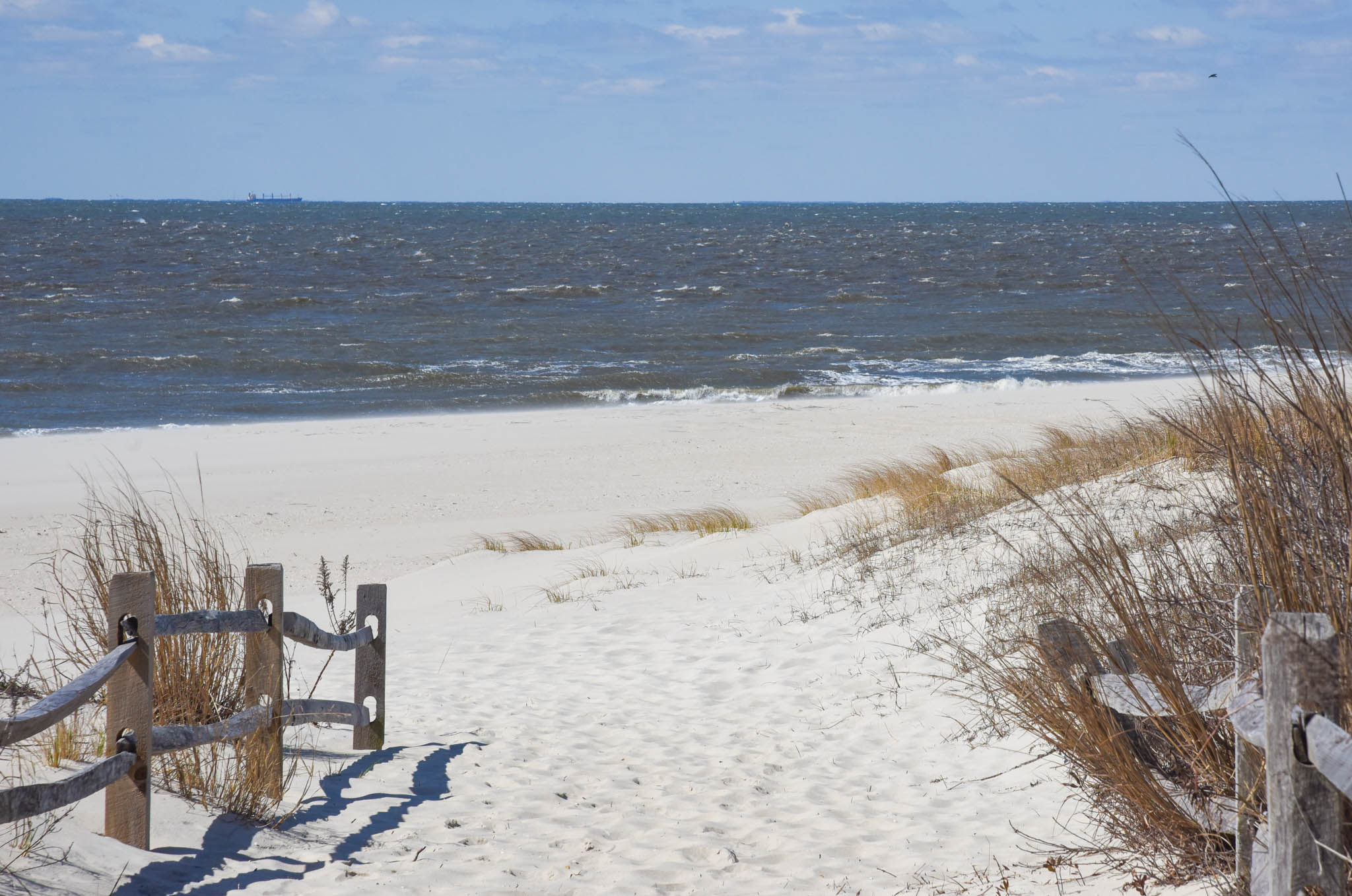 Delaware Bay Cape May Picture of the Day