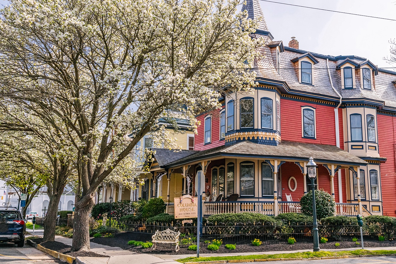 A tree bloomed with white flowers in front of a Victorian styled house