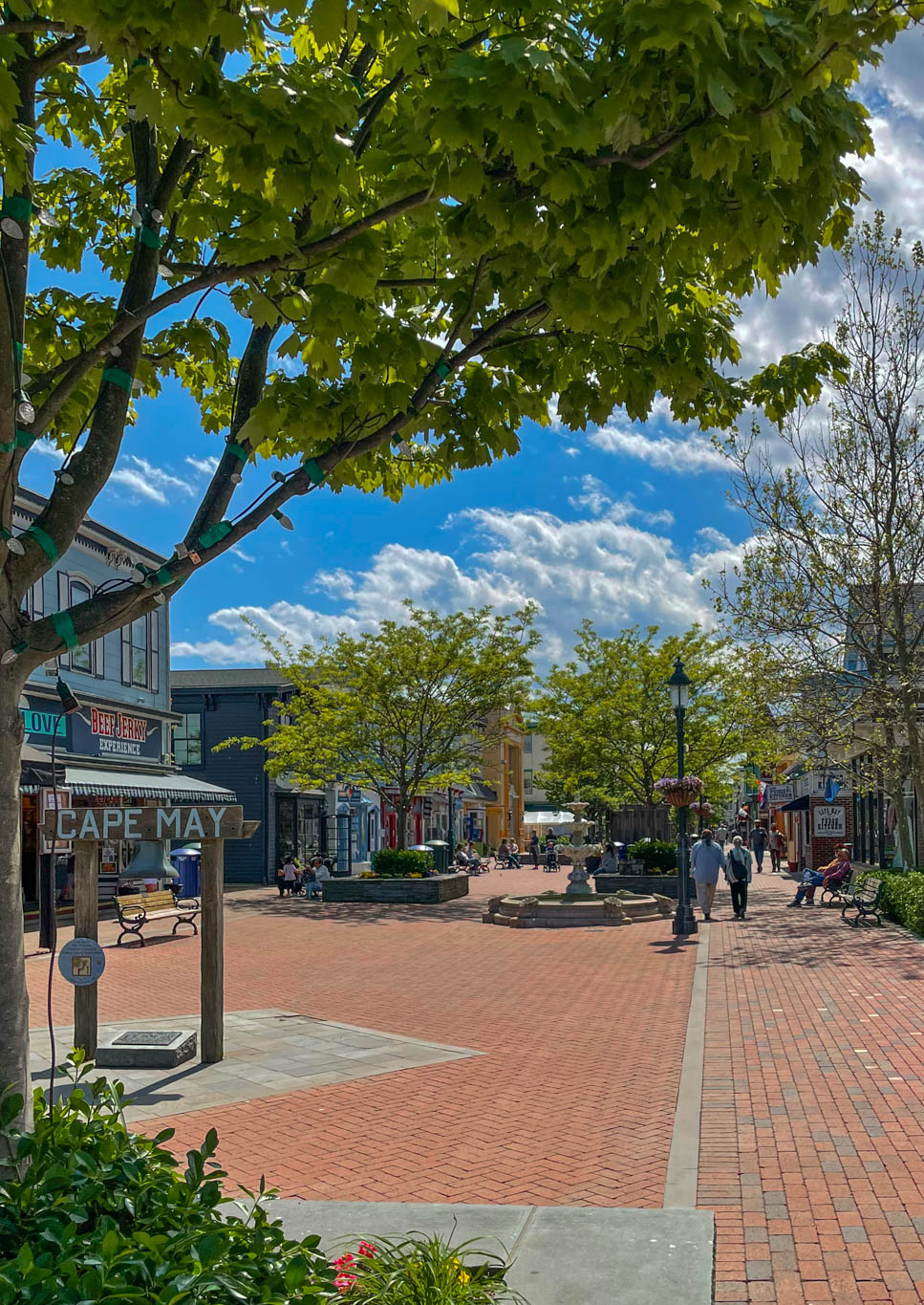 On the Washington Street Mall on a sunny day