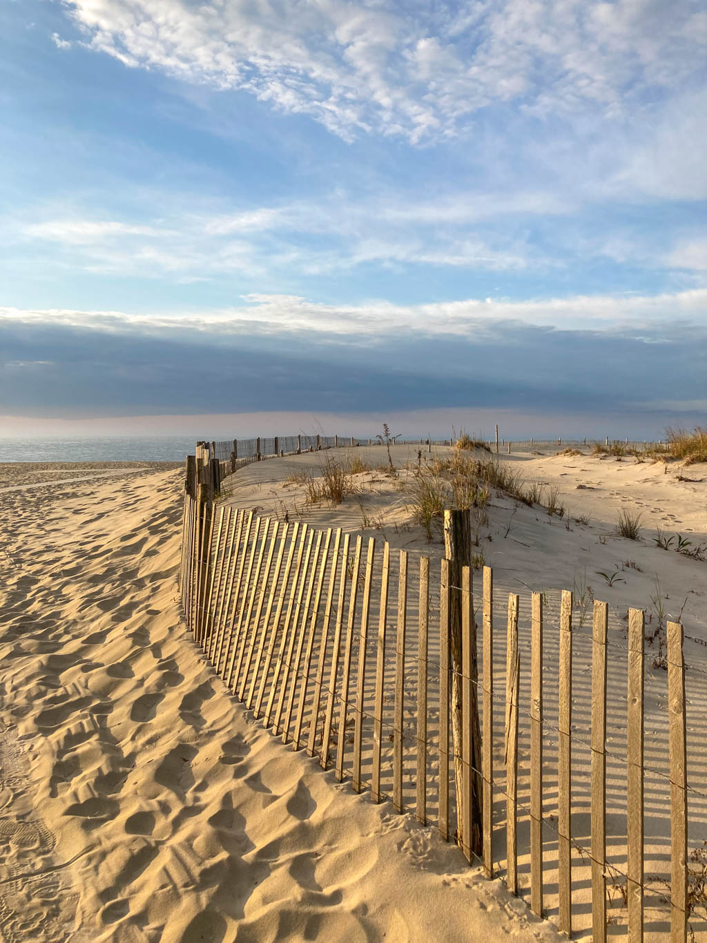 mornings along the dunes