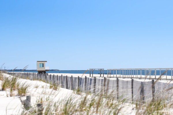 looking over the dunes to the beach