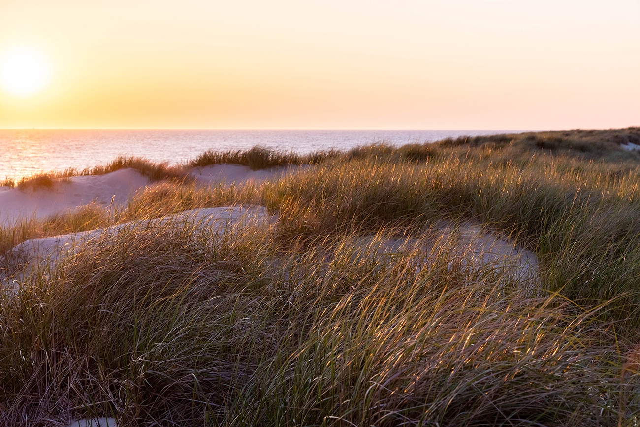 Sun setting in the distance, casting golden light on the sand dunes