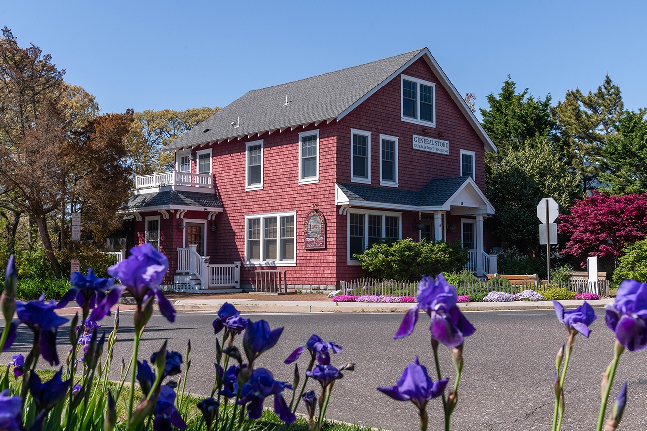 Purple flowers in front of the Red Store in Cape May Point