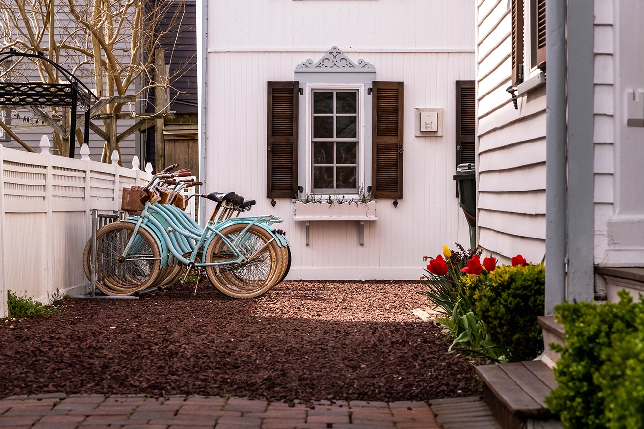 A row of turquoise bikes down a driveway with red and yellow tulips