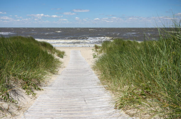 Path to the Delaware Bay
