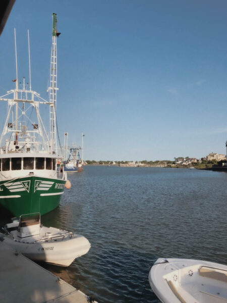 Overlooking The Harbor