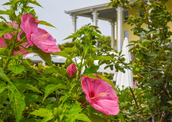 Flowers By The Pool at Congress Hall