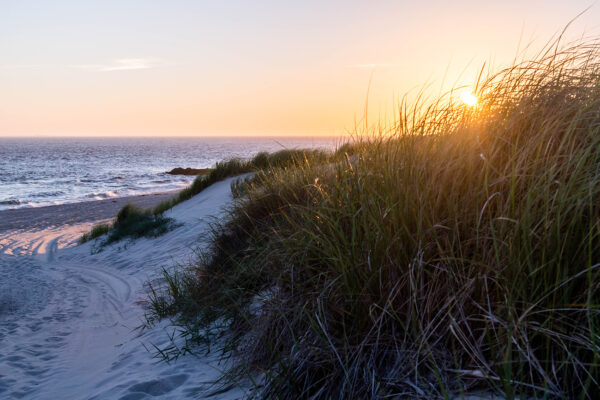 Peaking Over the Dunes