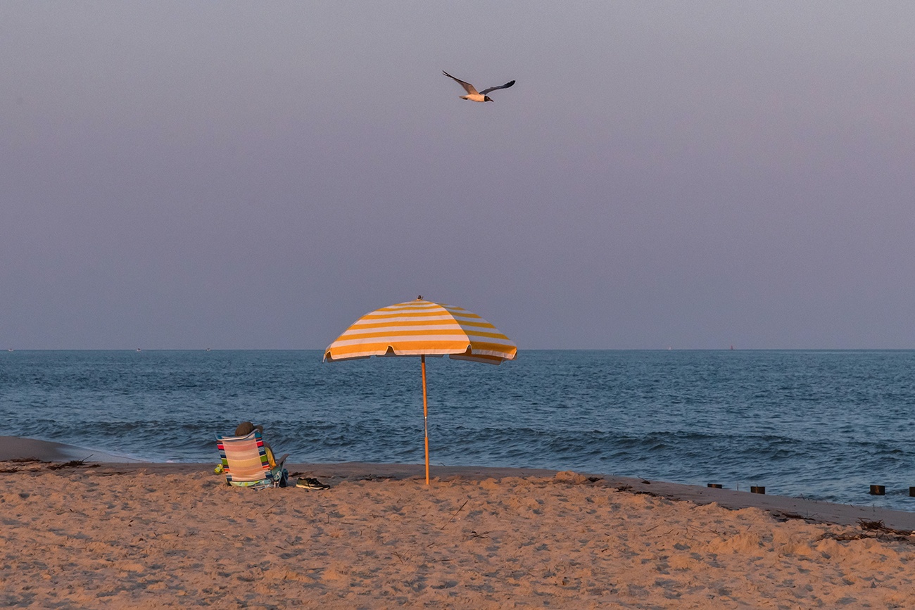 A person sitting under a yellow beach umbrella at the beach while a seagull flies overhead