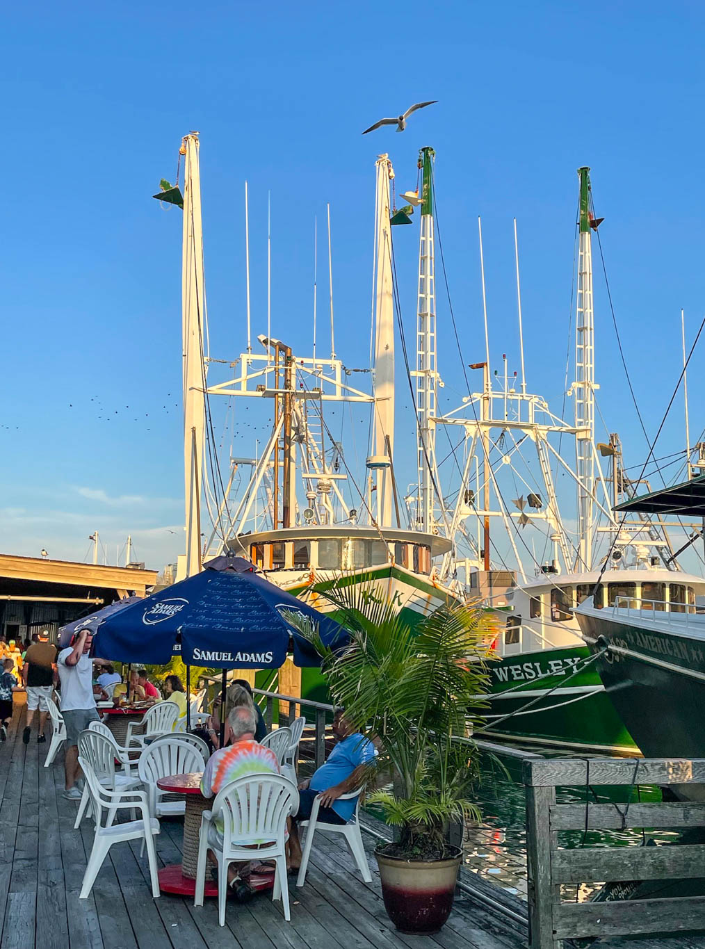 Waiting For You at the Lobster House Deck