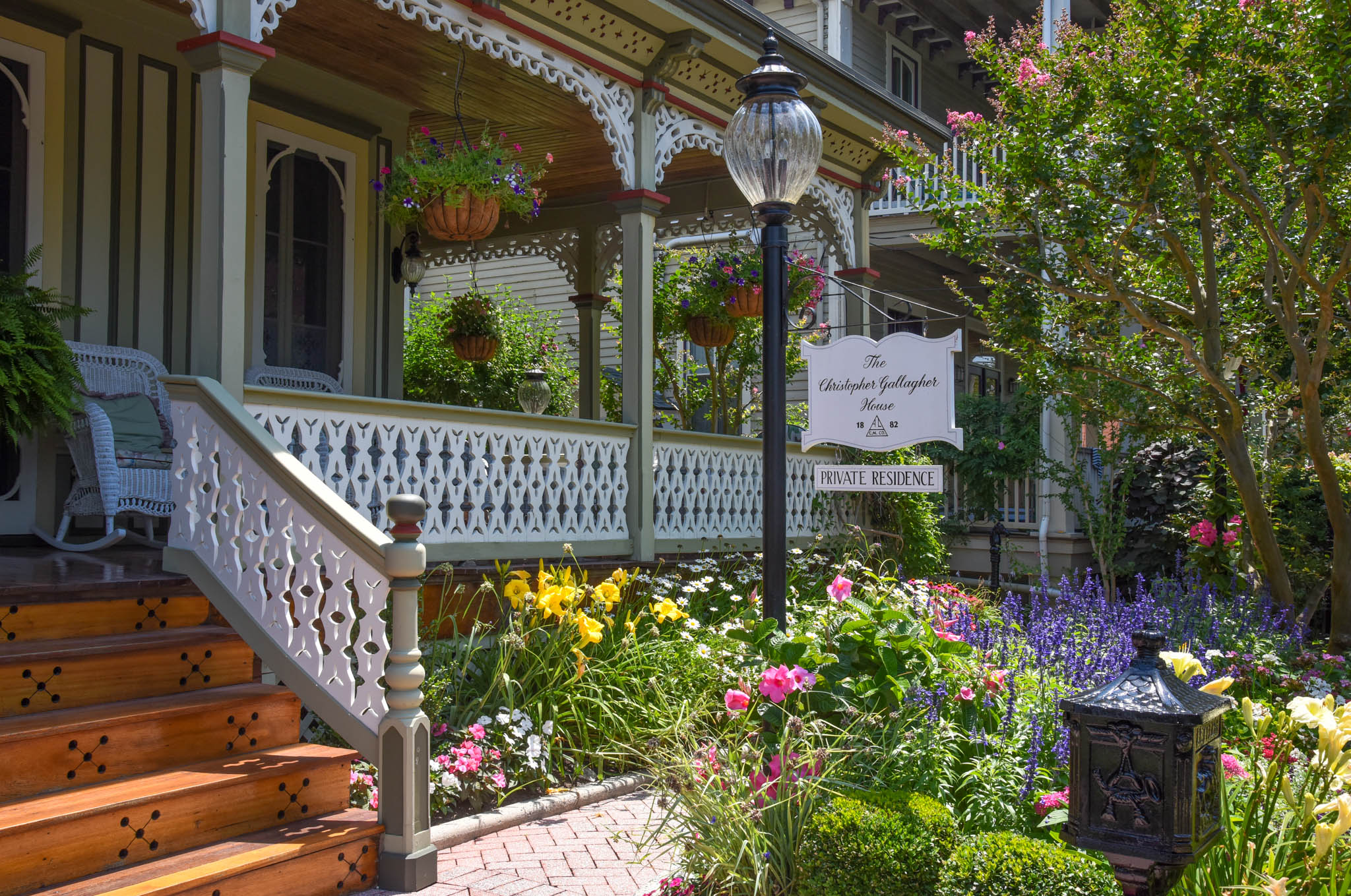 Sunshine on a garden on Jackson Street