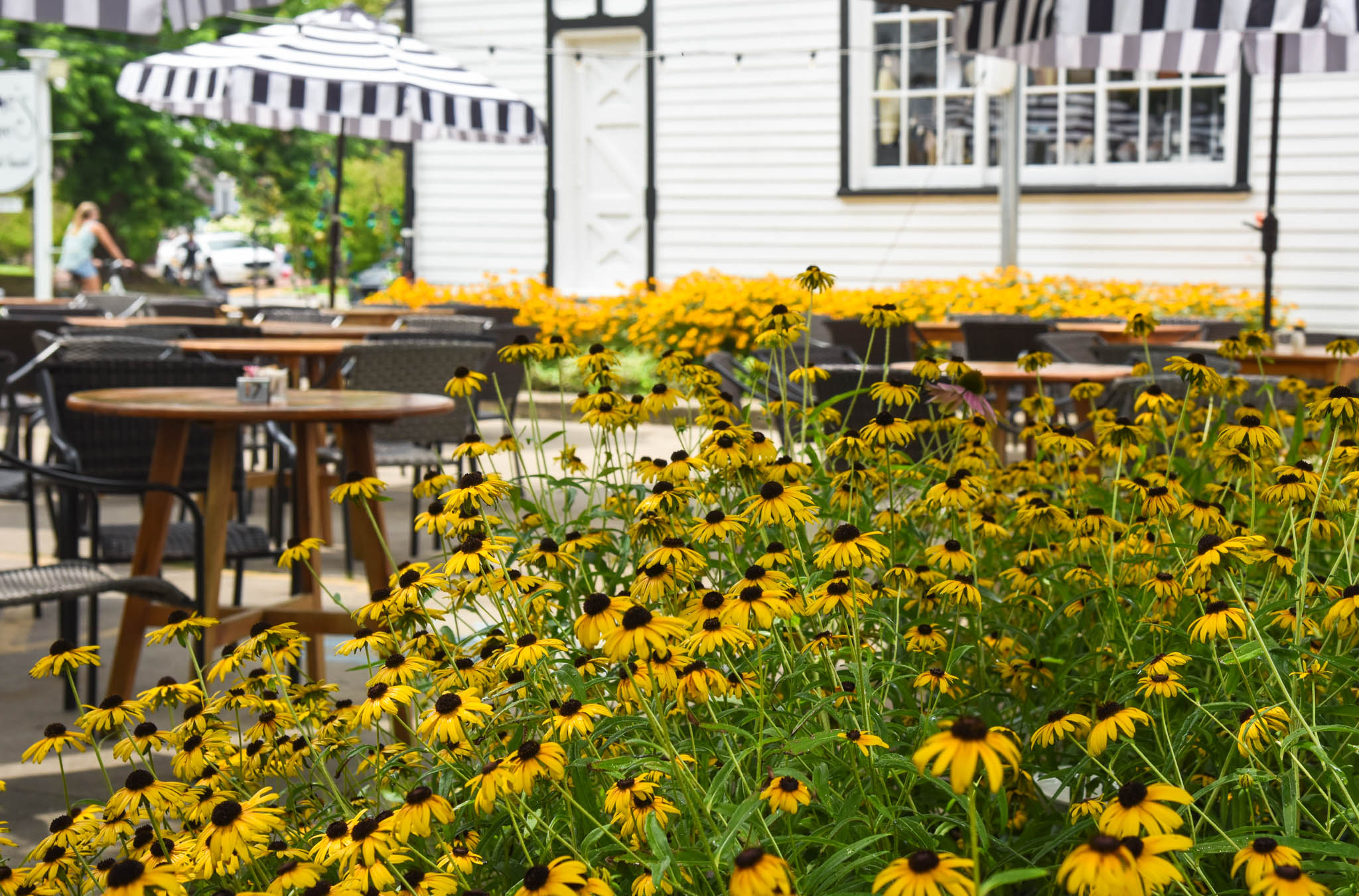 Pops of Yellow at Elaine's