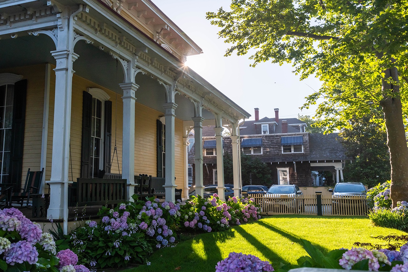 Hydrangea flowers and sun shining on the front lawn at the Mainstay Inn