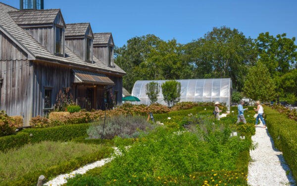 Heading To The Market at Beach Plum Farm