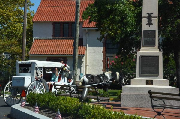 Relax And Enjoy on the Carraige ride