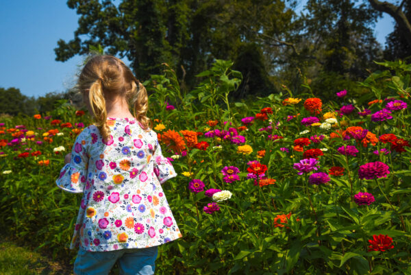 Little Girl picking flowers at Willow Creek Winery.