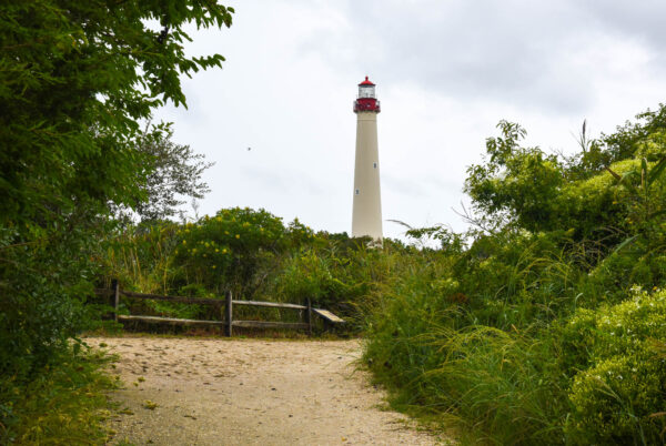 Path at Cape May Point State Park Lighthouse