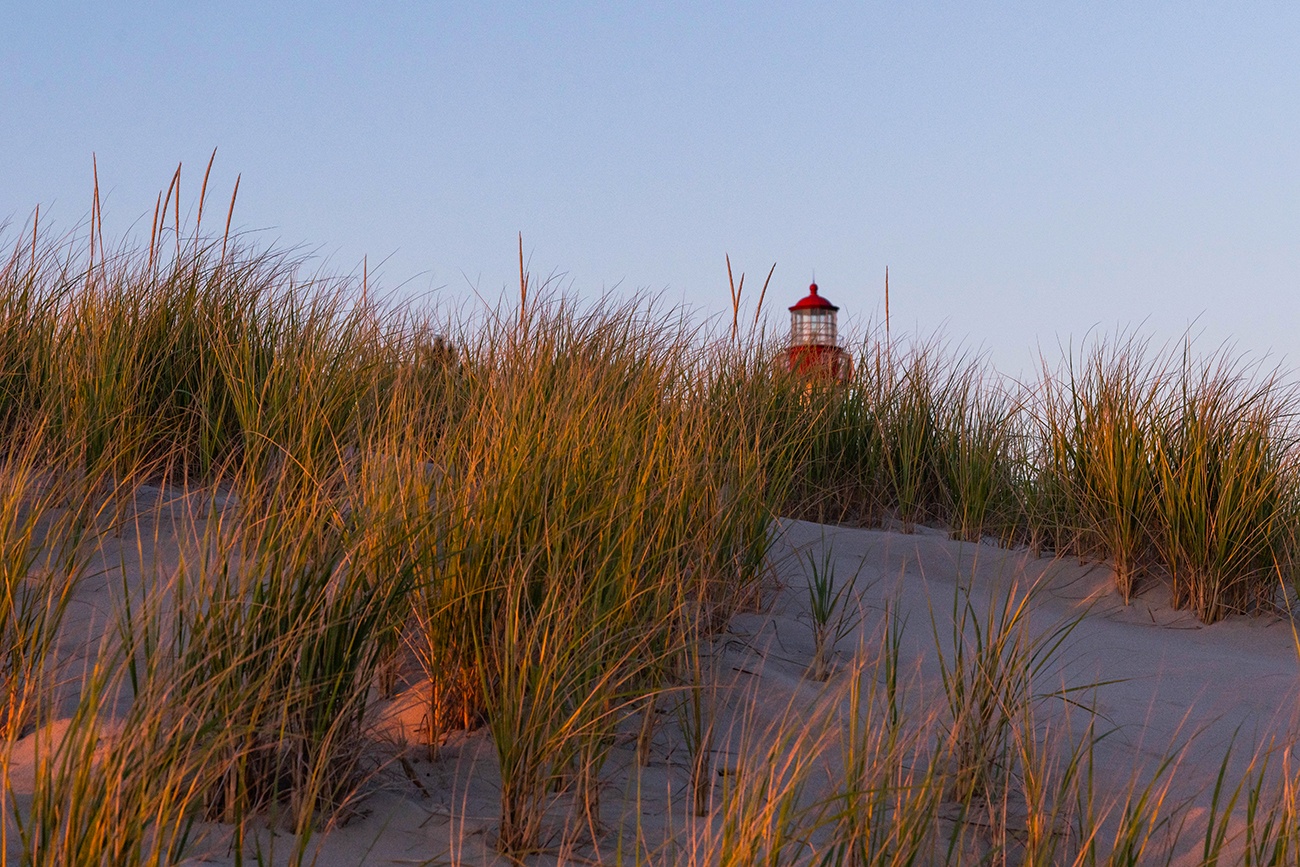 The top of the Cape May Lighthouse behind green and gold beach dunes