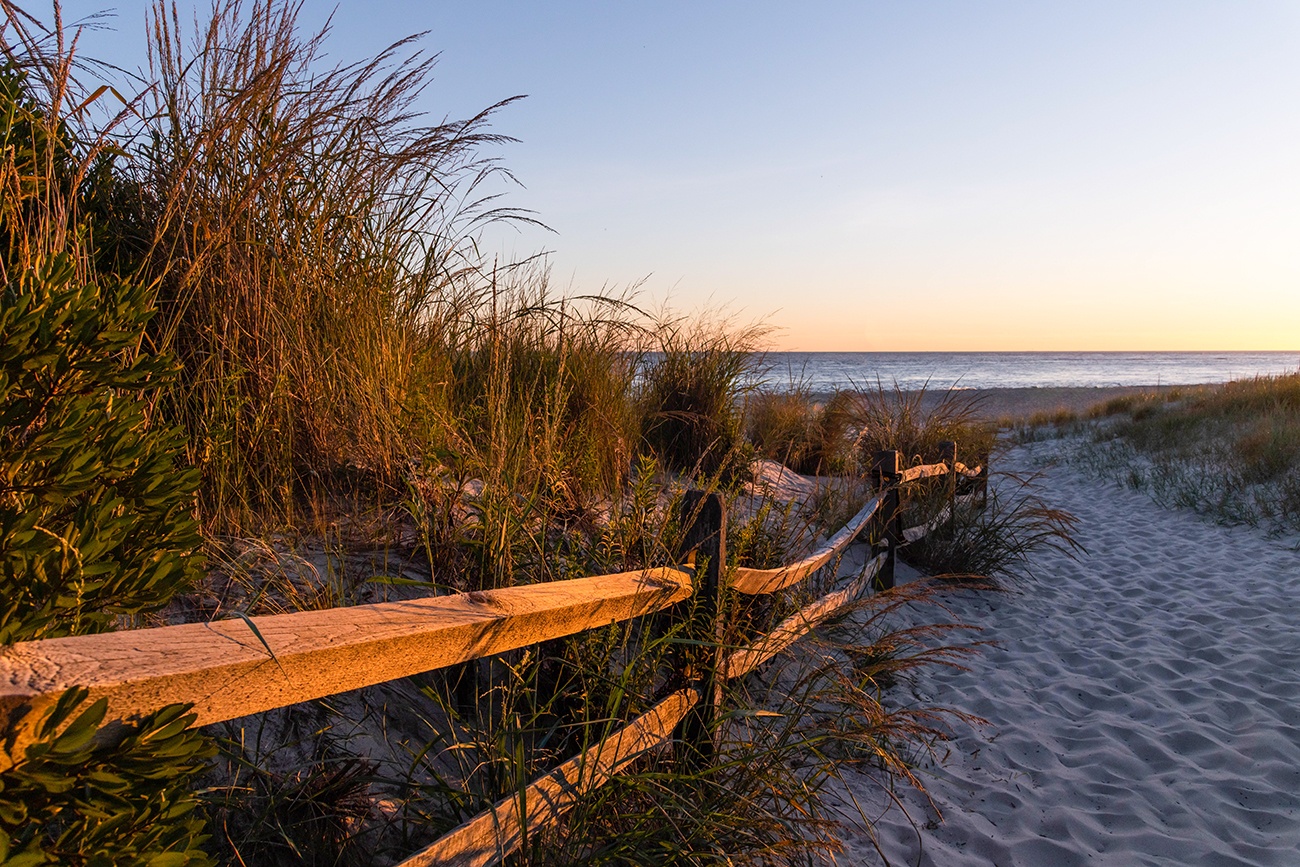 A wooden fence and dunes leading to the beach at sunset