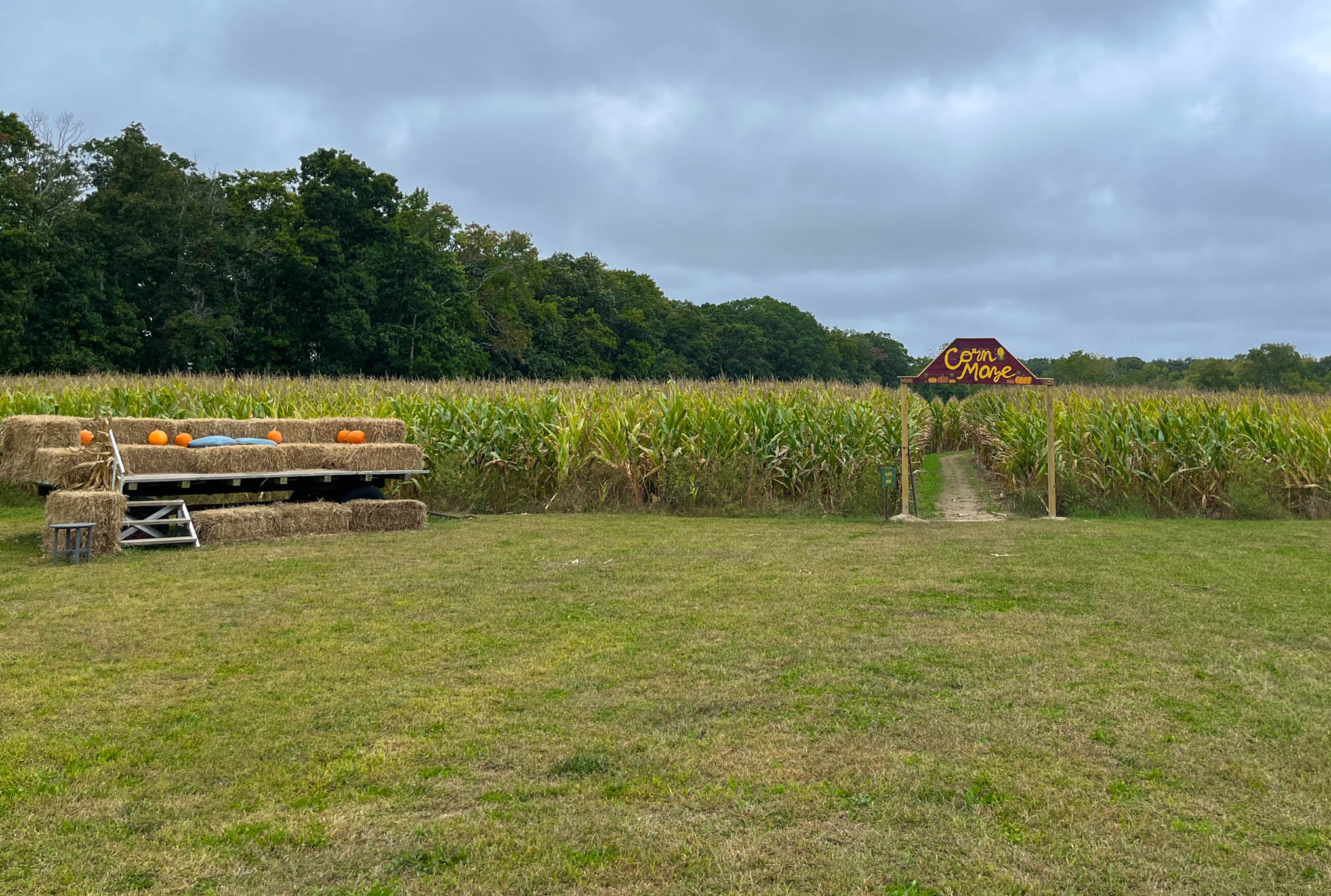 Corn Maze at Nauti Spirits Distillery