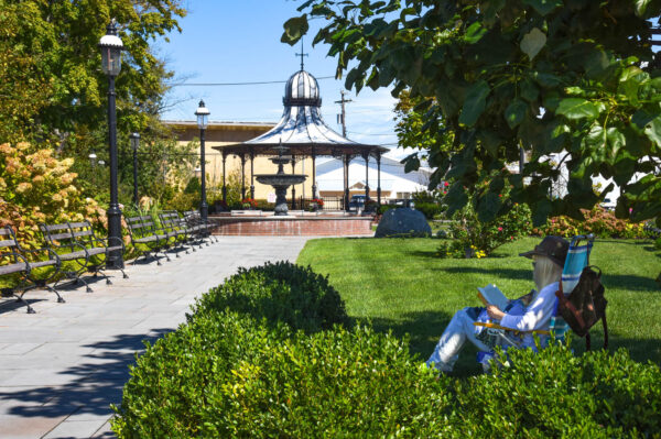 Reading under a tree in Cape May Rotary Park