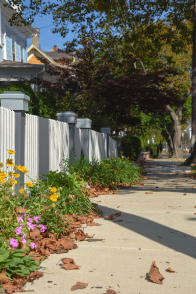 Hughes Street leaves along a fence