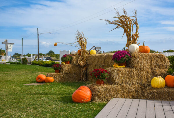 La Mer has pumpkins & fall decor