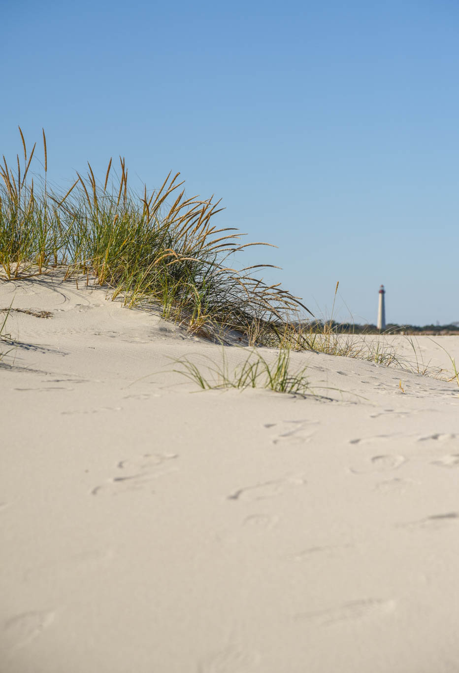 looking at the Dunes at The Cove with the Cape May Lighthouse out of view