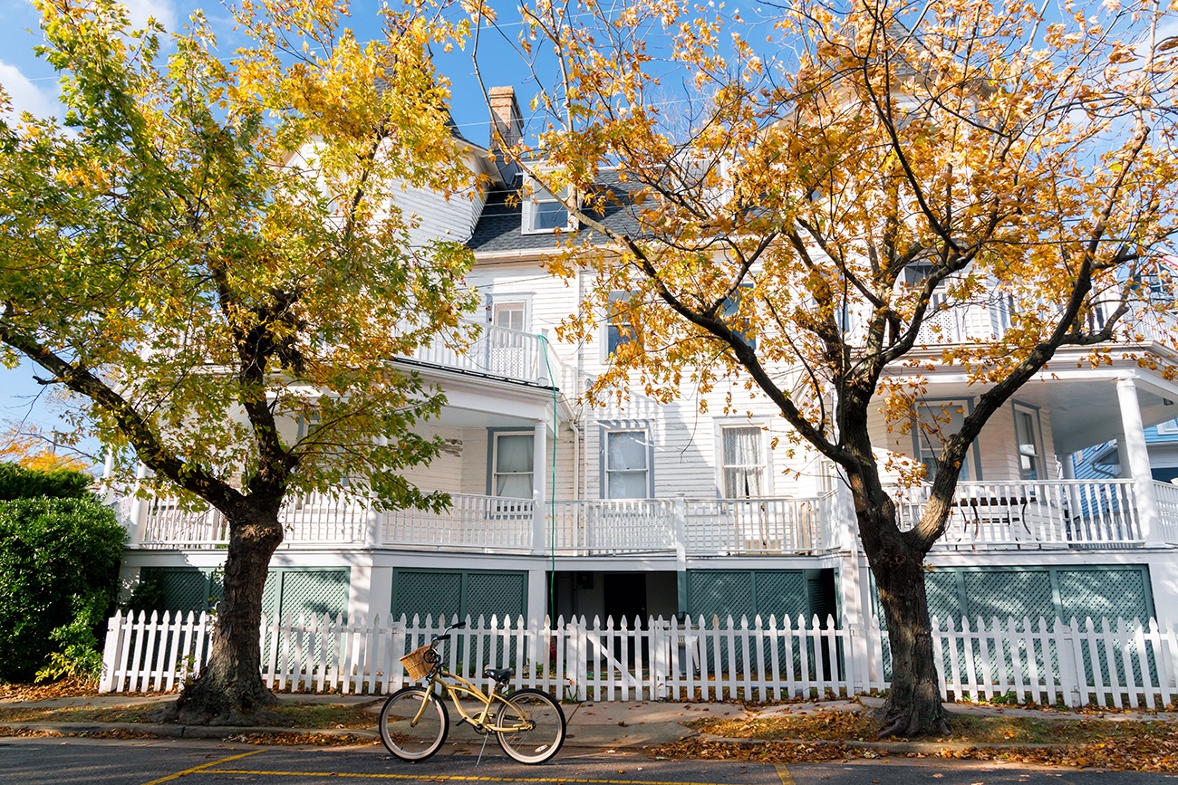 Two trees with orange and yellow leaves in front of a white Victorian house on a sunny day