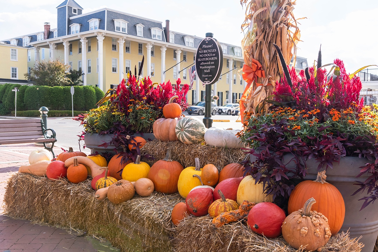 A display of yellow, orange, and white pumpkins with hay and fall flowers in front of Congress Hall Hotel