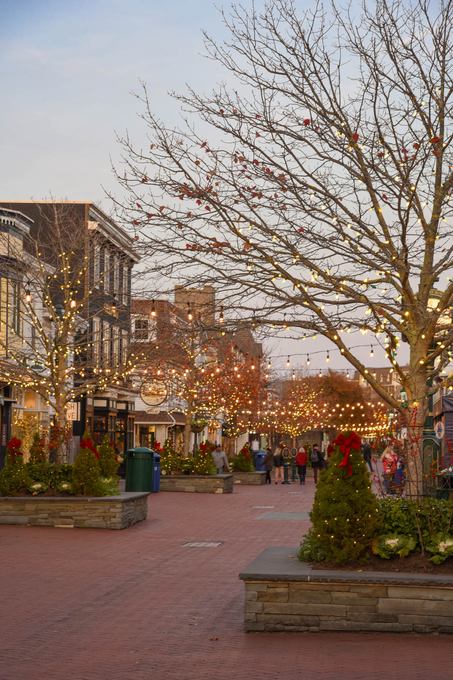 Twinkling Lights on the Washington Street Mall