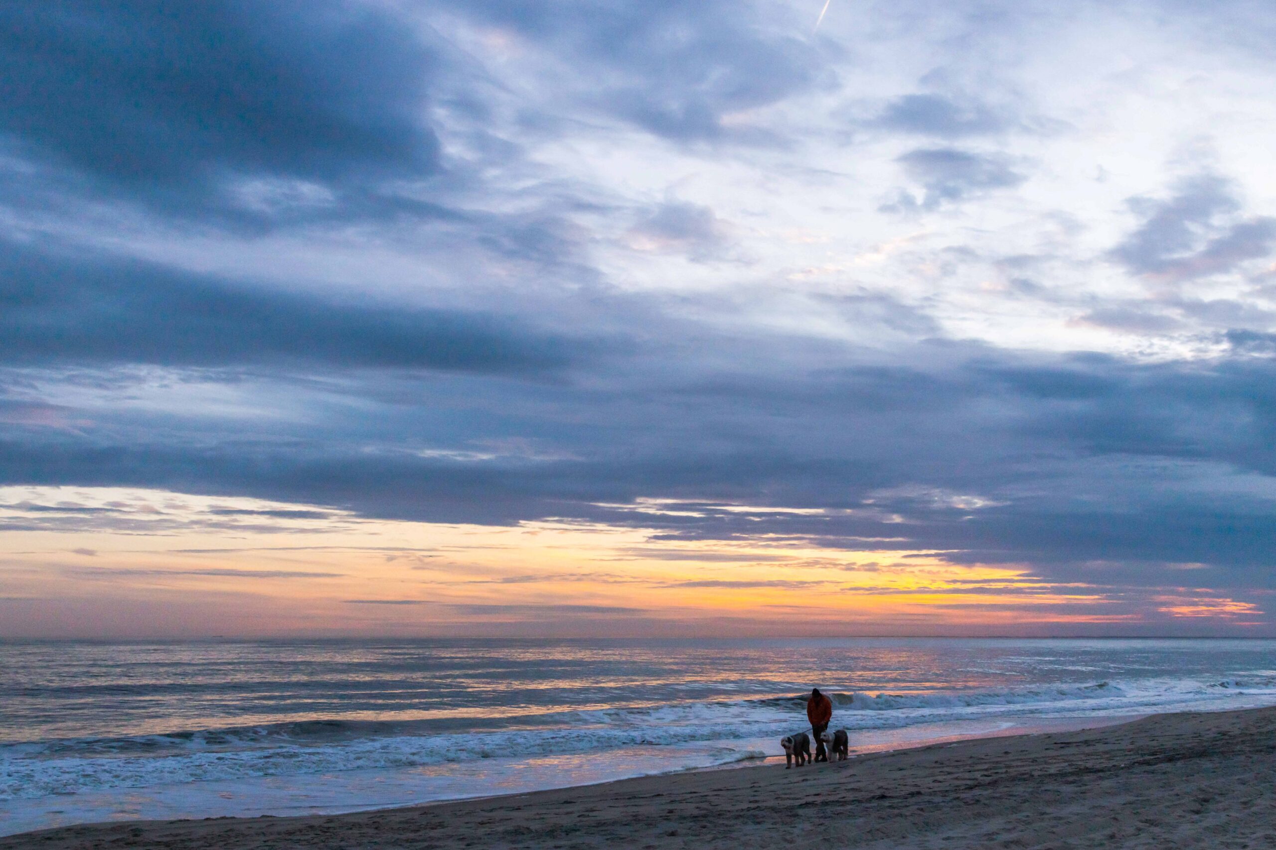 A person walking with two dogs at sunset on the beach with blue clouds in the sky and yellow and pink colors at the horizon