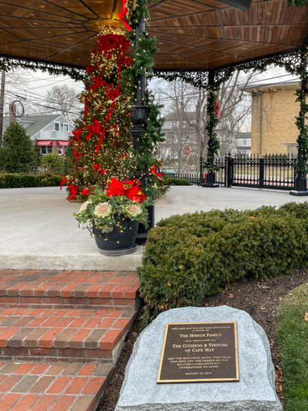 Rotary Park with the Christmas tree